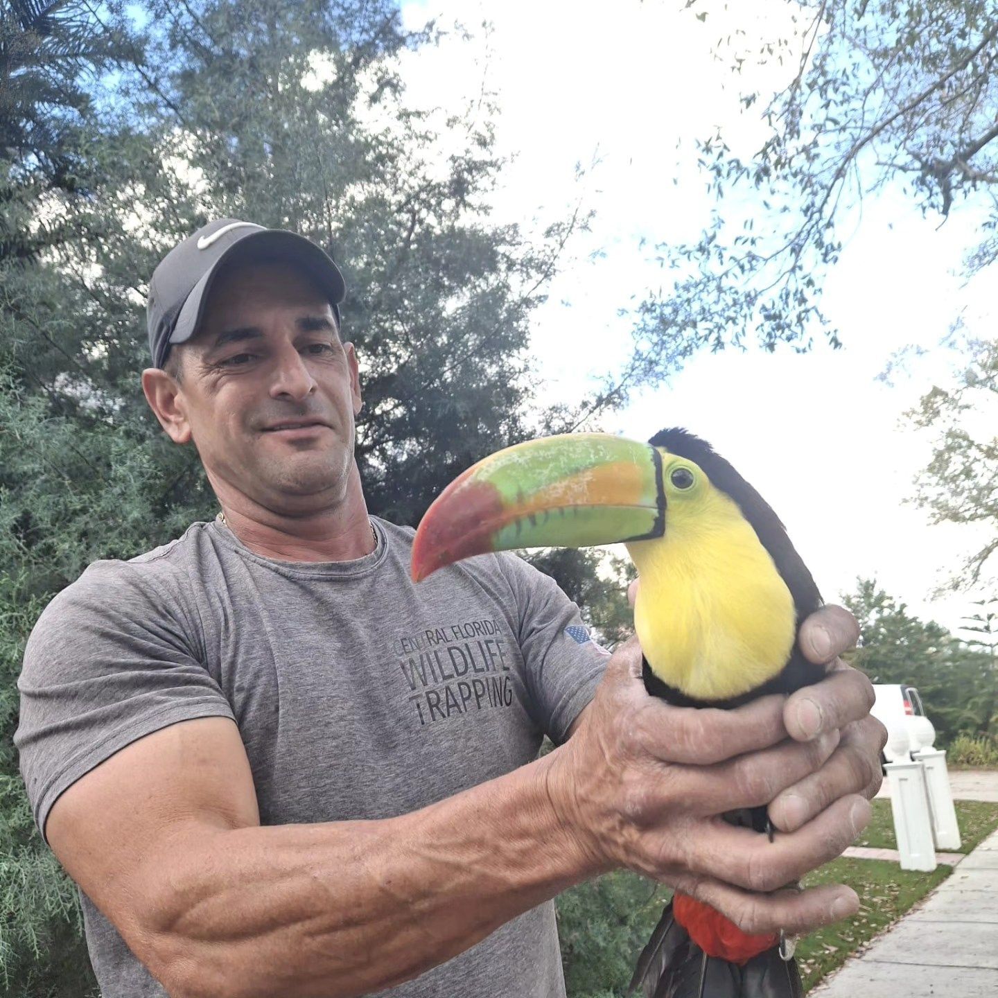 Man holding a toucan with a large green-and-orange beak outdoors under trees.