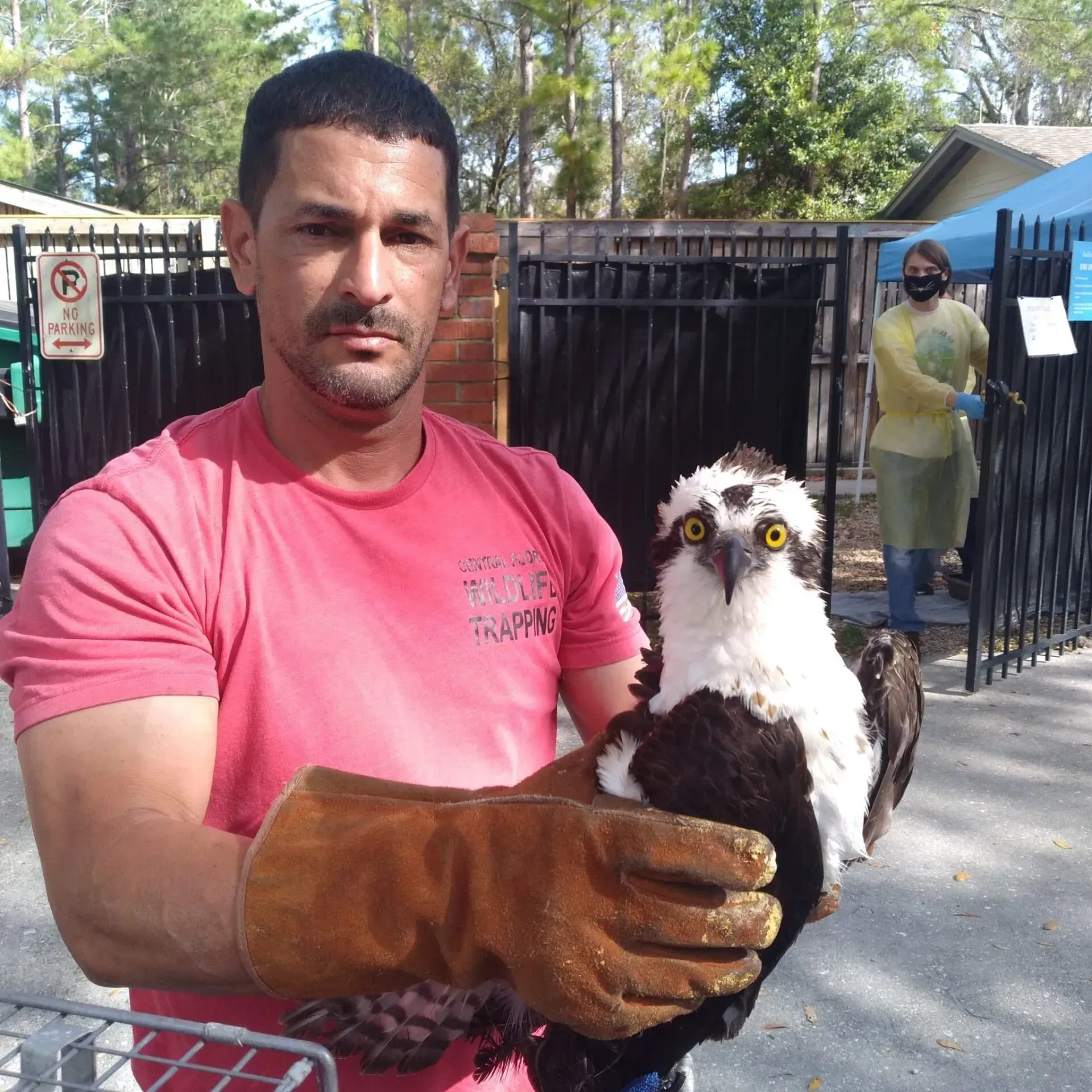 angel cortes a bird