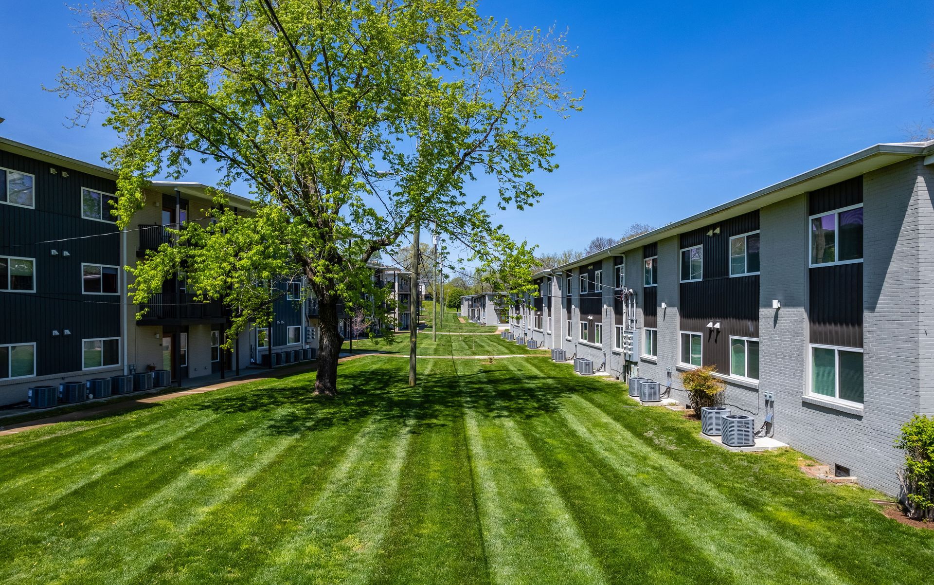 A bright, sunny outdoor view of two-story apartment buildings flanking a large, freshly mowed grassy courtyard.