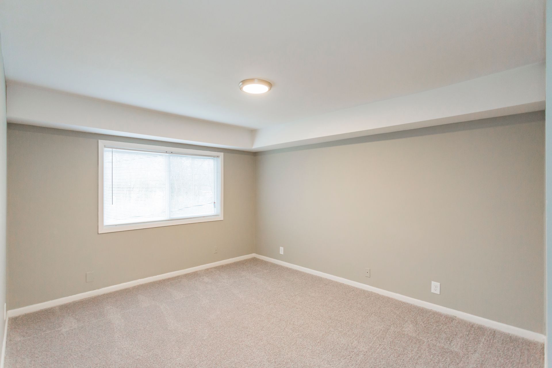 Empty room with neutral beige walls, white trim, beige carpeting, and a single window with blinds on the left wall.