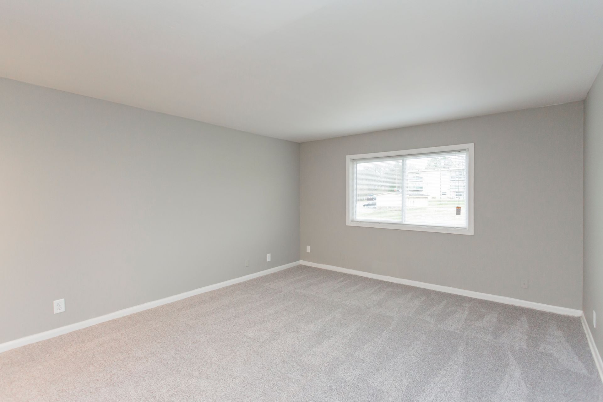 A bright, empty room with light gray walls, plush light gray carpeting, and a large window centered on the back wall.