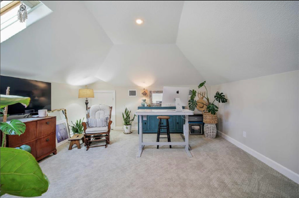 Bright attic room with carpet, desk, chair, lamp, and potted plants near a skylight window