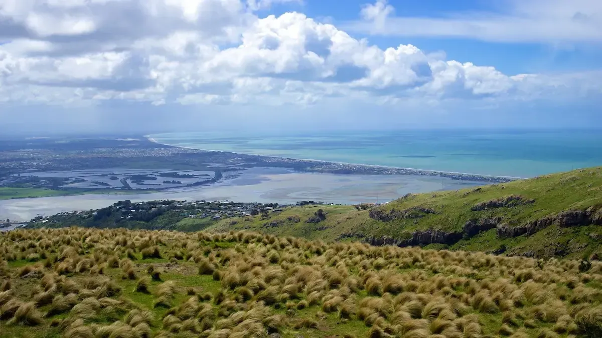 Panoramic view of a coastal city, lagoon, and ocean from grassy hills.