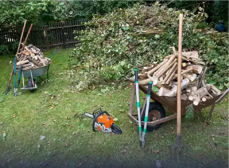 Debris in Leander yard