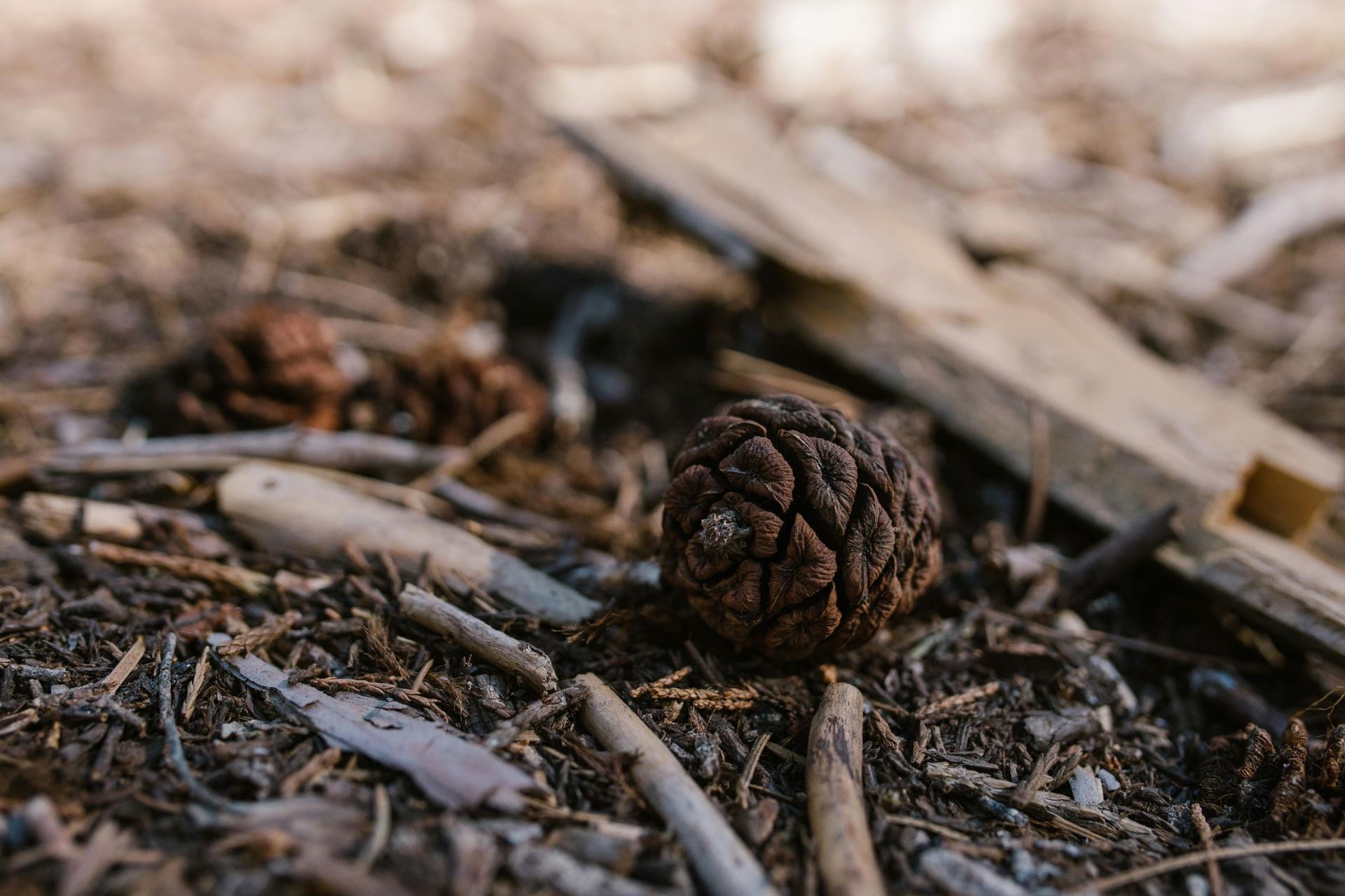 yard mulch