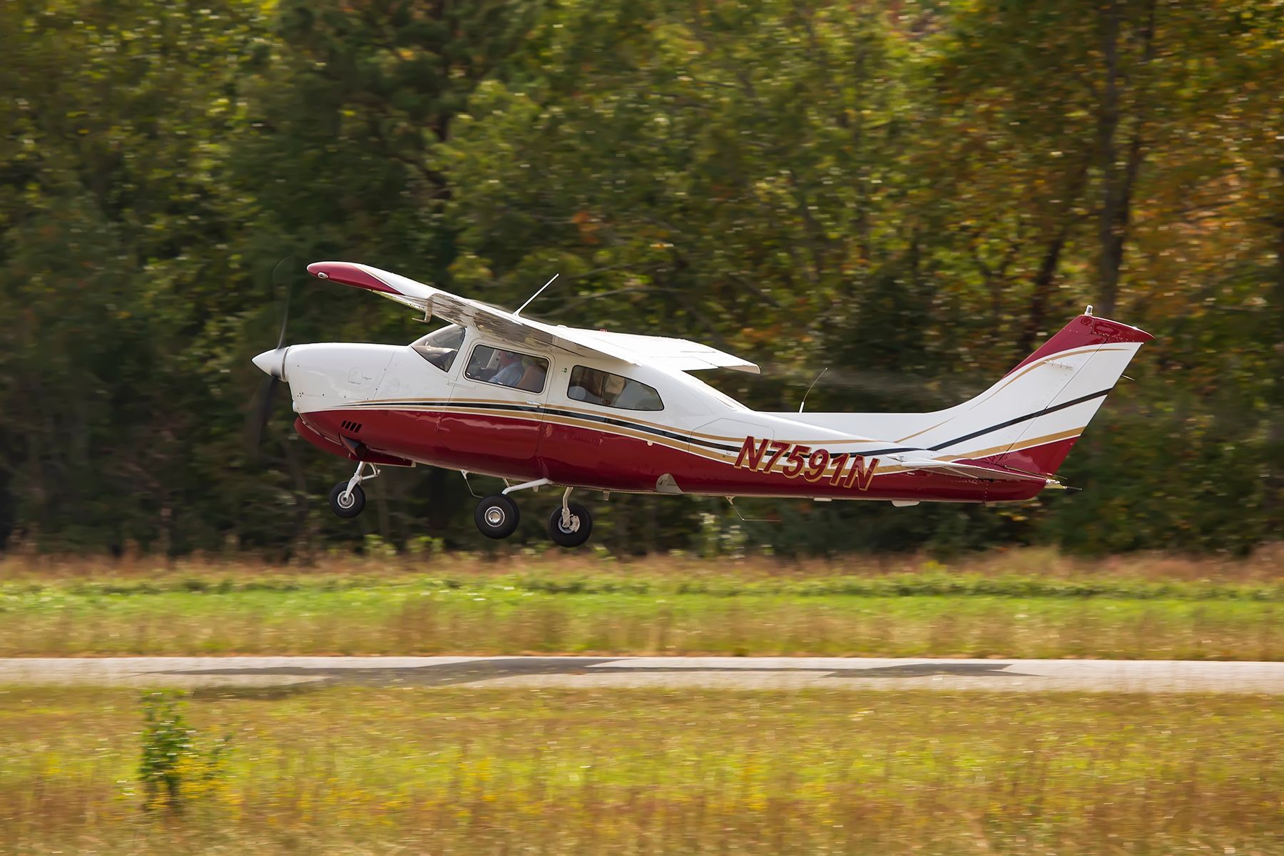 Small white-and-red airplane landing on a grassy runway with trees in the background