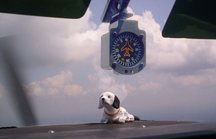 Small dog on a car dashboard with a hanging blue ornament against a cloudy sky