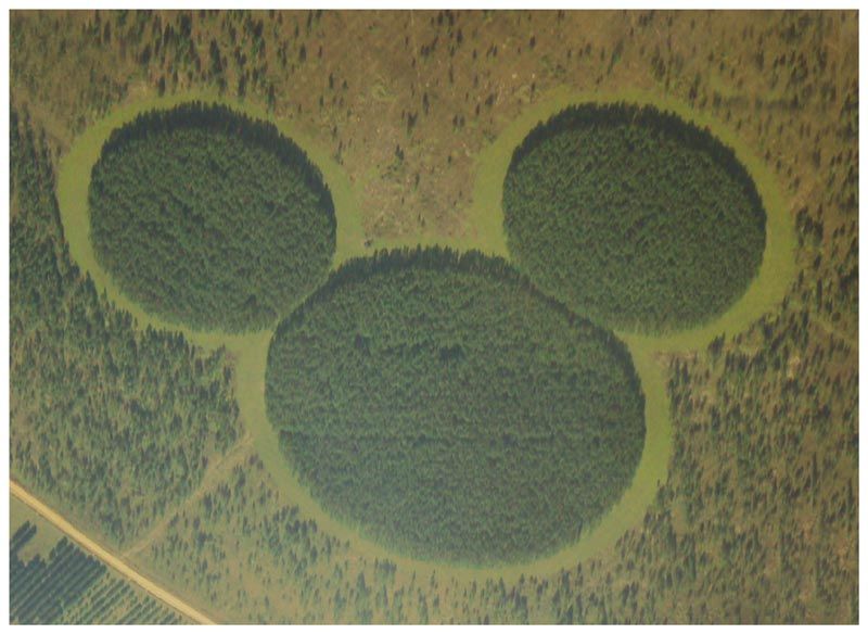 Aerial view of three large green circular crop fields, resembling a Mickey Mouse shape, in a rural landscape