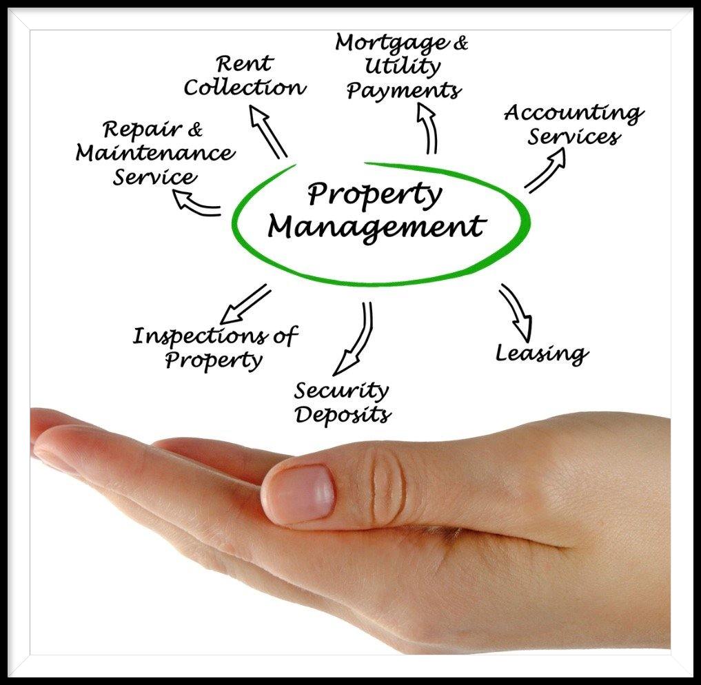 property management