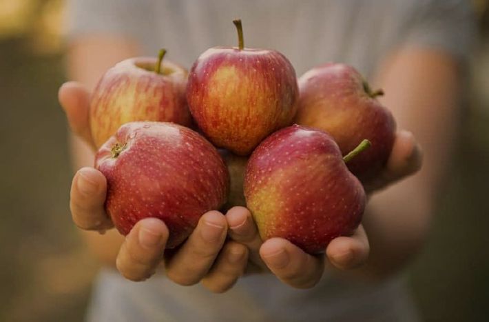 Hands holding five red apples with green stems against a blurred background