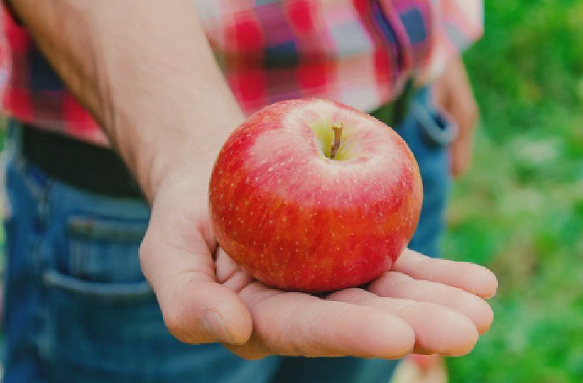 Hand holding a red apple in front of a person wearing a plaid shirt and jeans outdoors