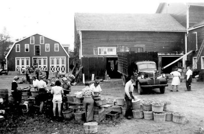 People gathering outside a barn, with buckets, stalls, and a truck in a farmyard