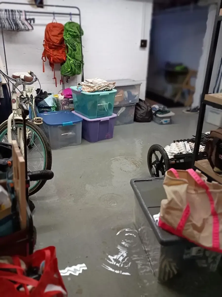 Basement with possible water damage. Boxes, bike, backpacks, and bags are scattered.