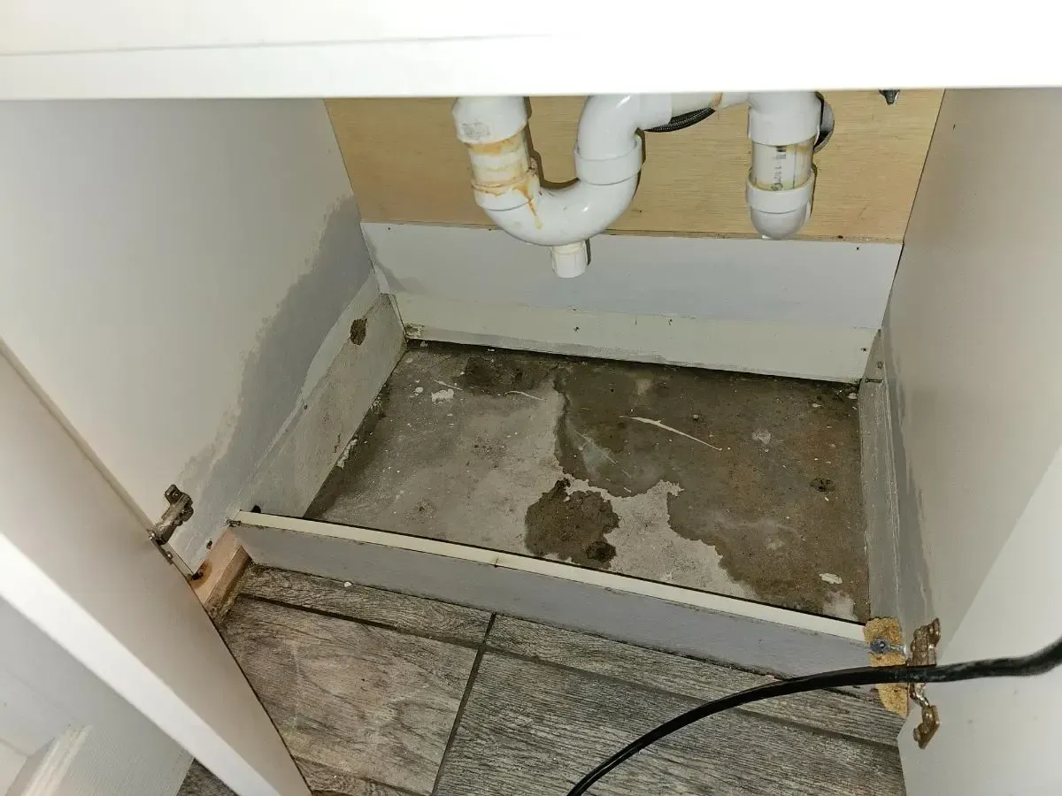Sink cabinet interior with plumbing, unfinished flooring, and exposed wooden support.