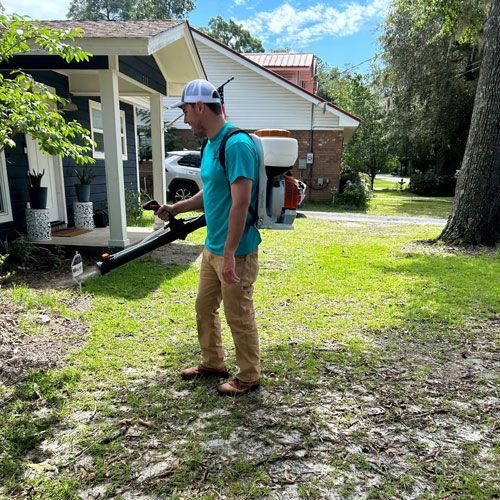 Mosquito Treatment - Ridgeland, SC - Down South Pest Control