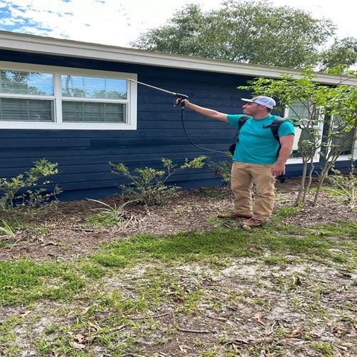 Pest Control - Ridgeland, SC - Down South Pest Control