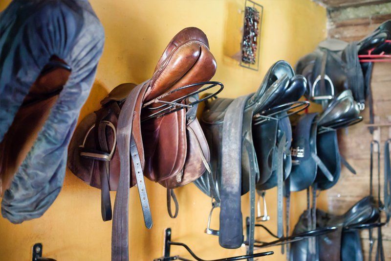 Western Horse Tack Supplies in Vinton, LA