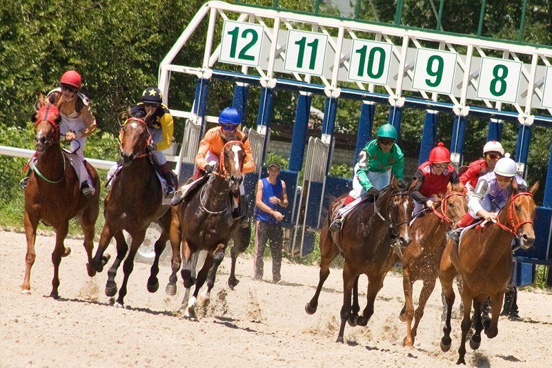 Horse Racing Tack Supplies in Vinton, LA