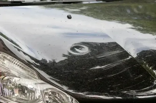 Close-up of a black car hood with a large dent and reflections of trees and sky