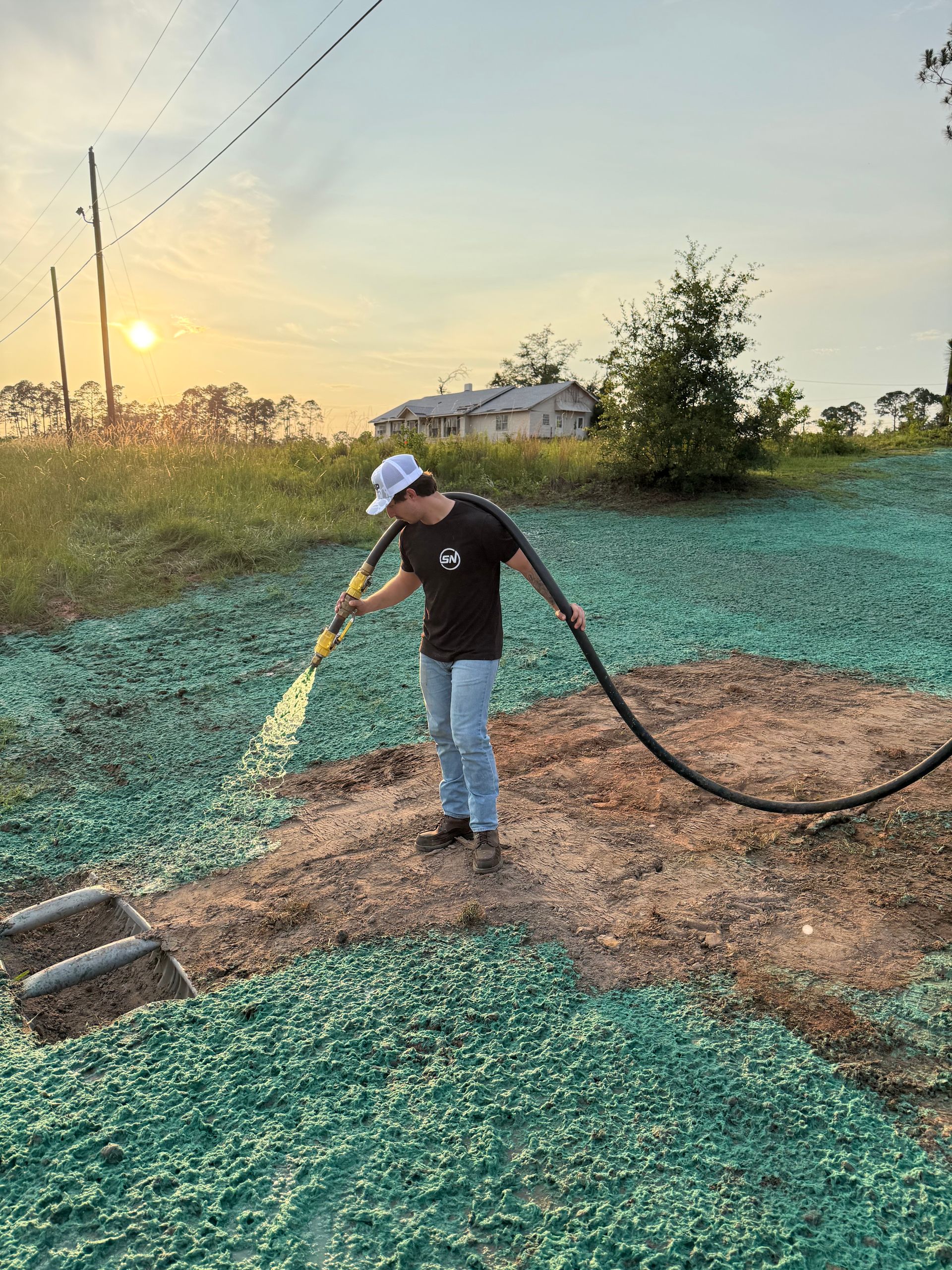 Person watering plants in a field at sunrise, with green seedlings and a hose.