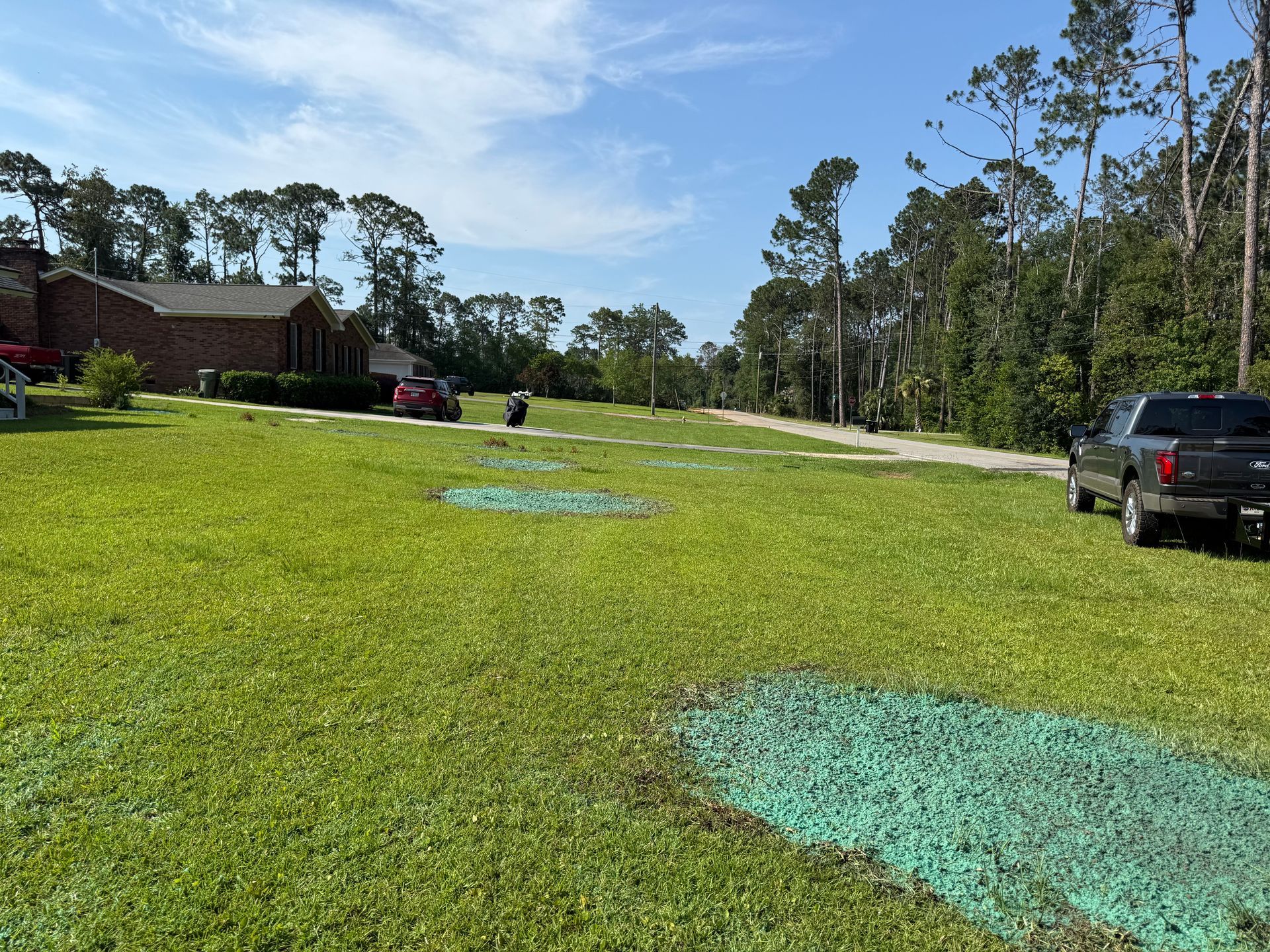 Grassy roadside lot with blue spray paint markings, trees, and parked trucks under a clear sky