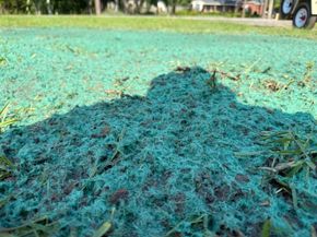 Close-up of turquoise ground netting with a dark shadow, grassy yard and trailer wheel in the background