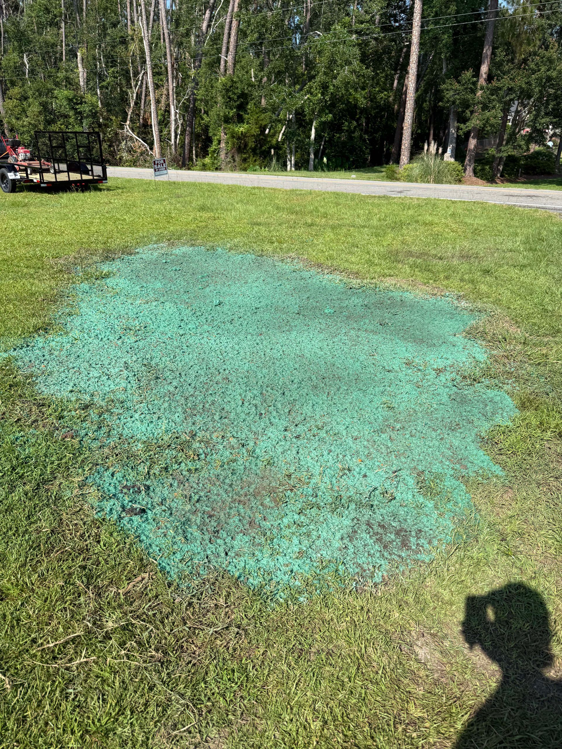 Green lawn with a large turquoise painted patch, trees and a gravel path in the background.