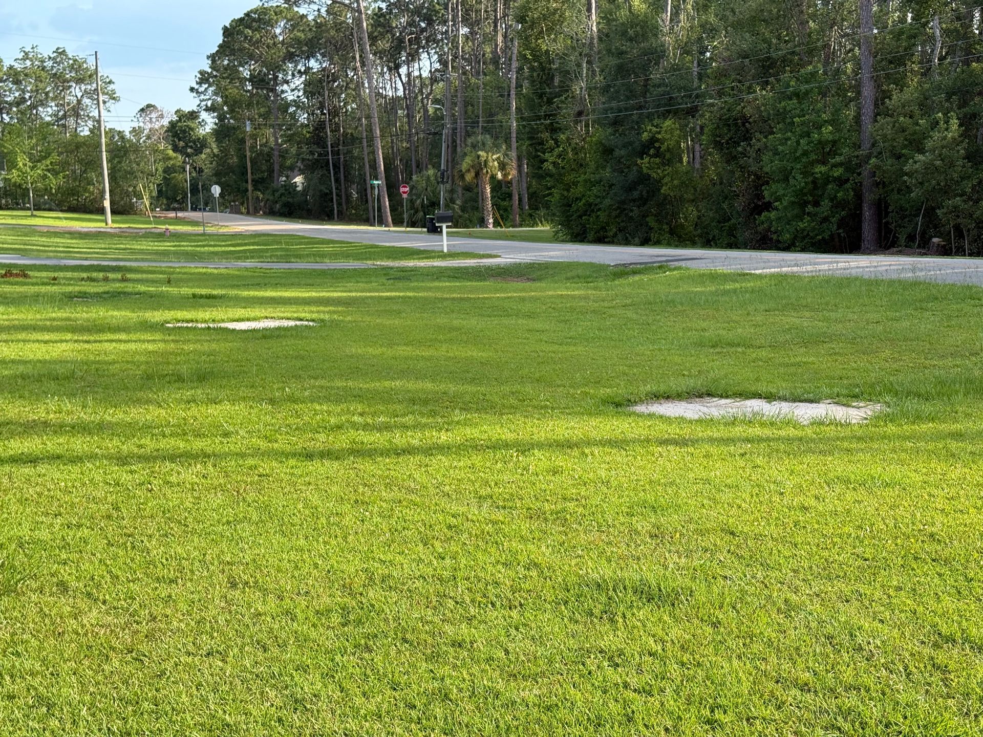 Grassy park with a paved path, trees, and a few white circular covers in the lawn.