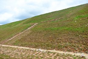 Grassy hillside with a narrow dirt path under a cloudy sky