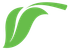 NaturaClean Services Inc Logo Icon