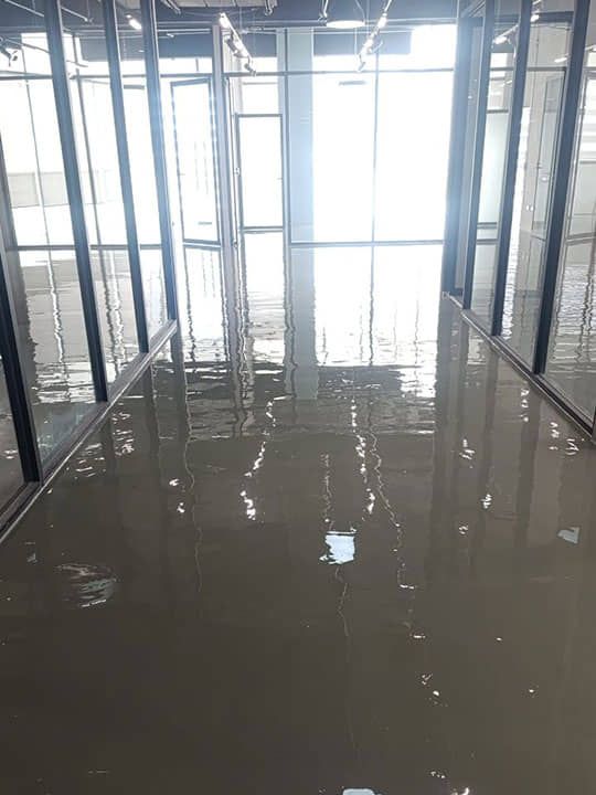 PULIDO DE PISOS Y EPOXICOS INDUSTRIALES