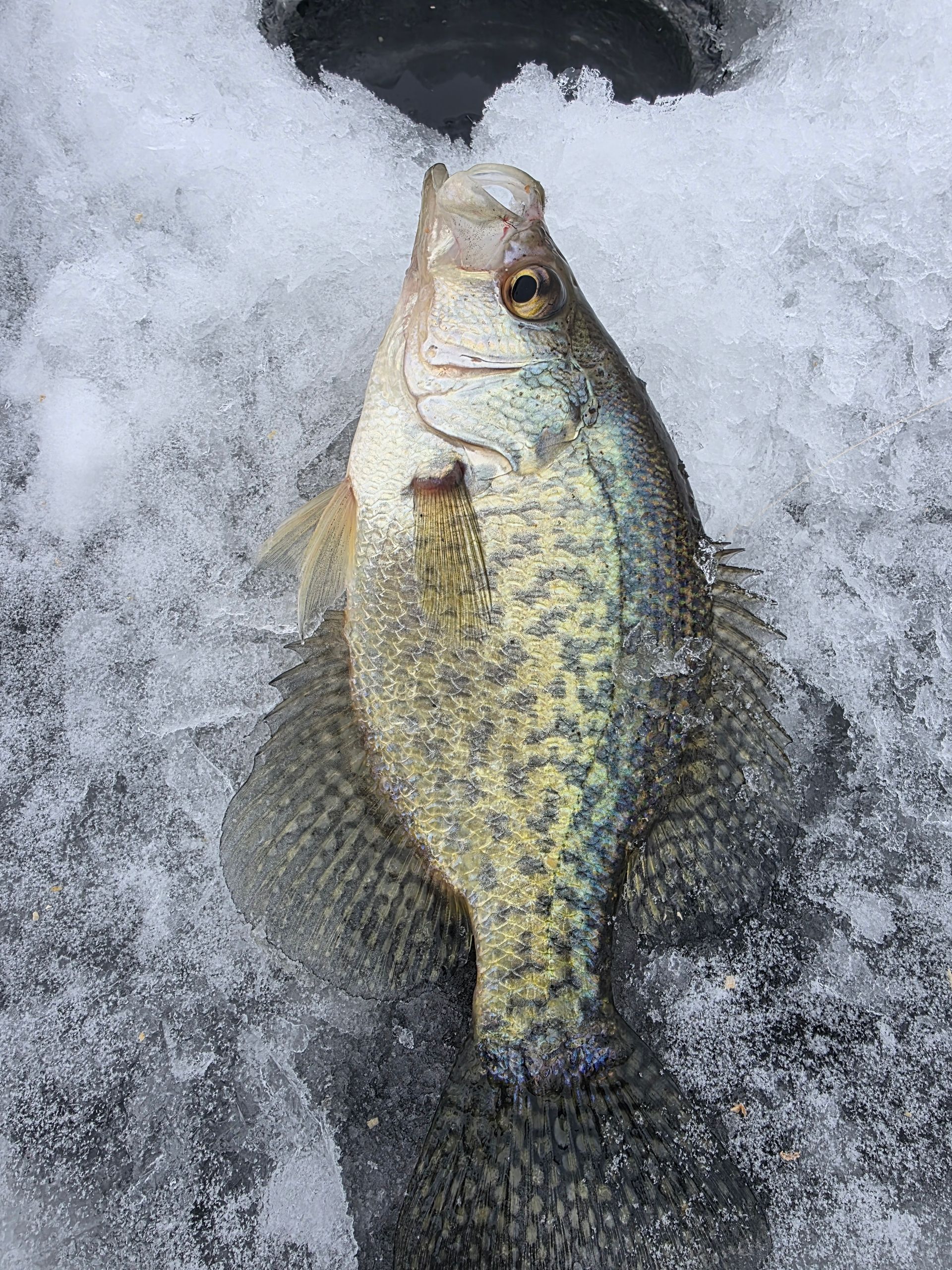 ice fishing houses for rent Lake Minnetonka