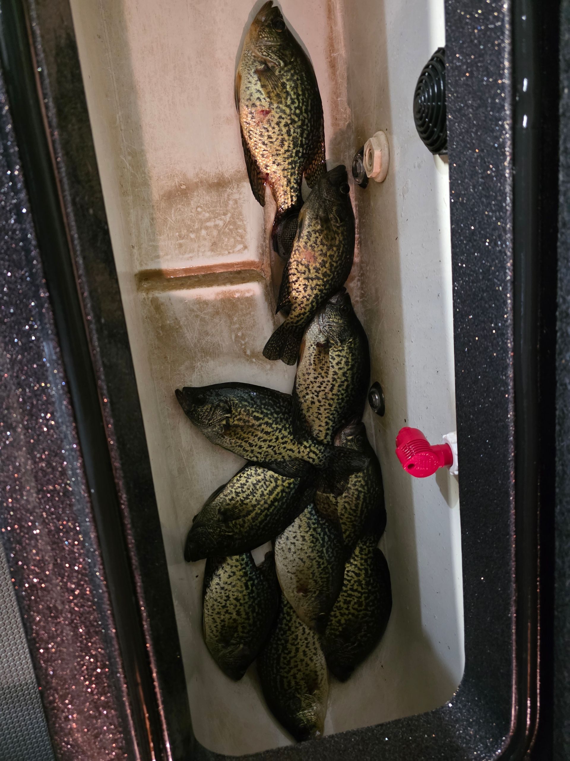 crappie guide MN