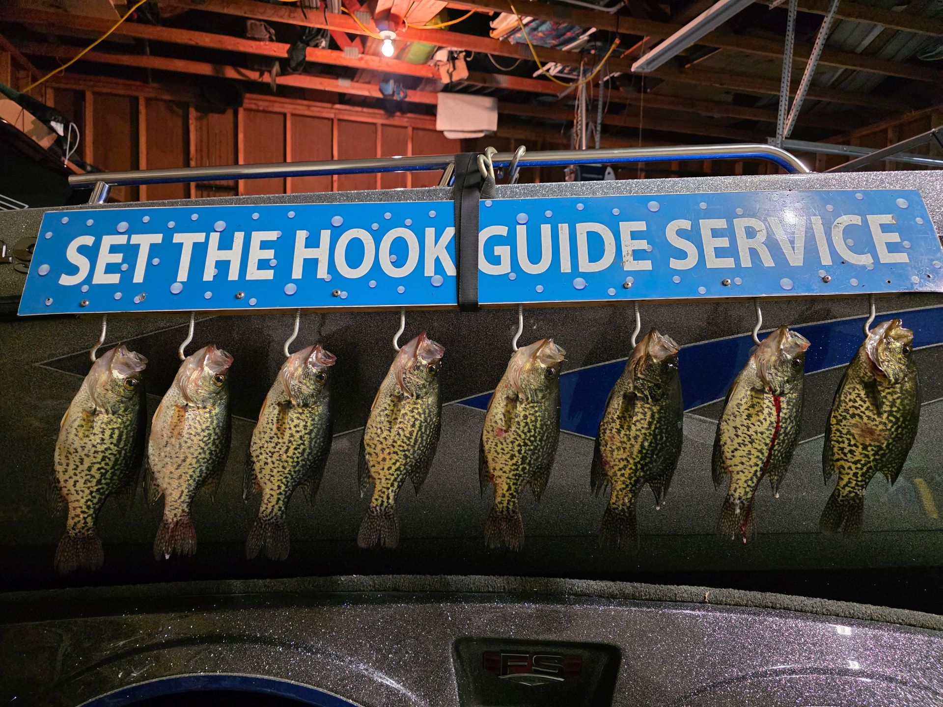 crappies caught on Lake Minnetonka with plastics.