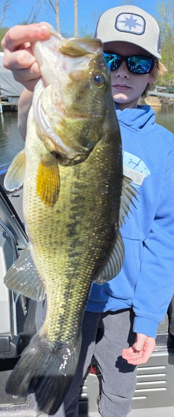 bass fishing Lake Minnetonka