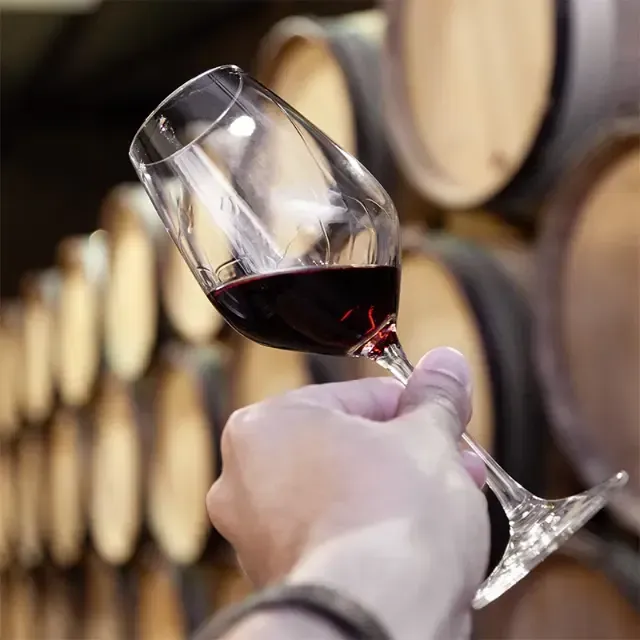 Een persoon houdt een glas rode wijn vast voor vaten.
