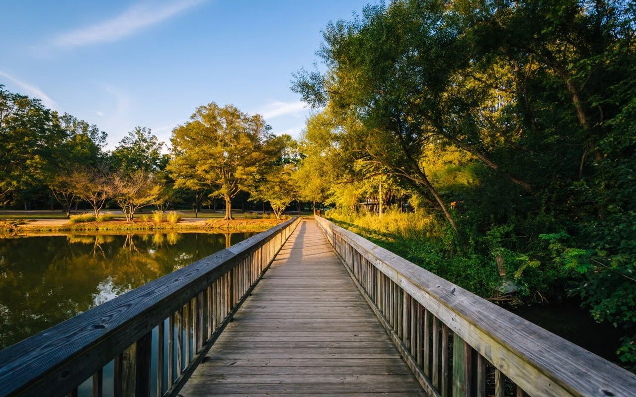 Wooden bridge leading across a calm river into a green, sunlit forest