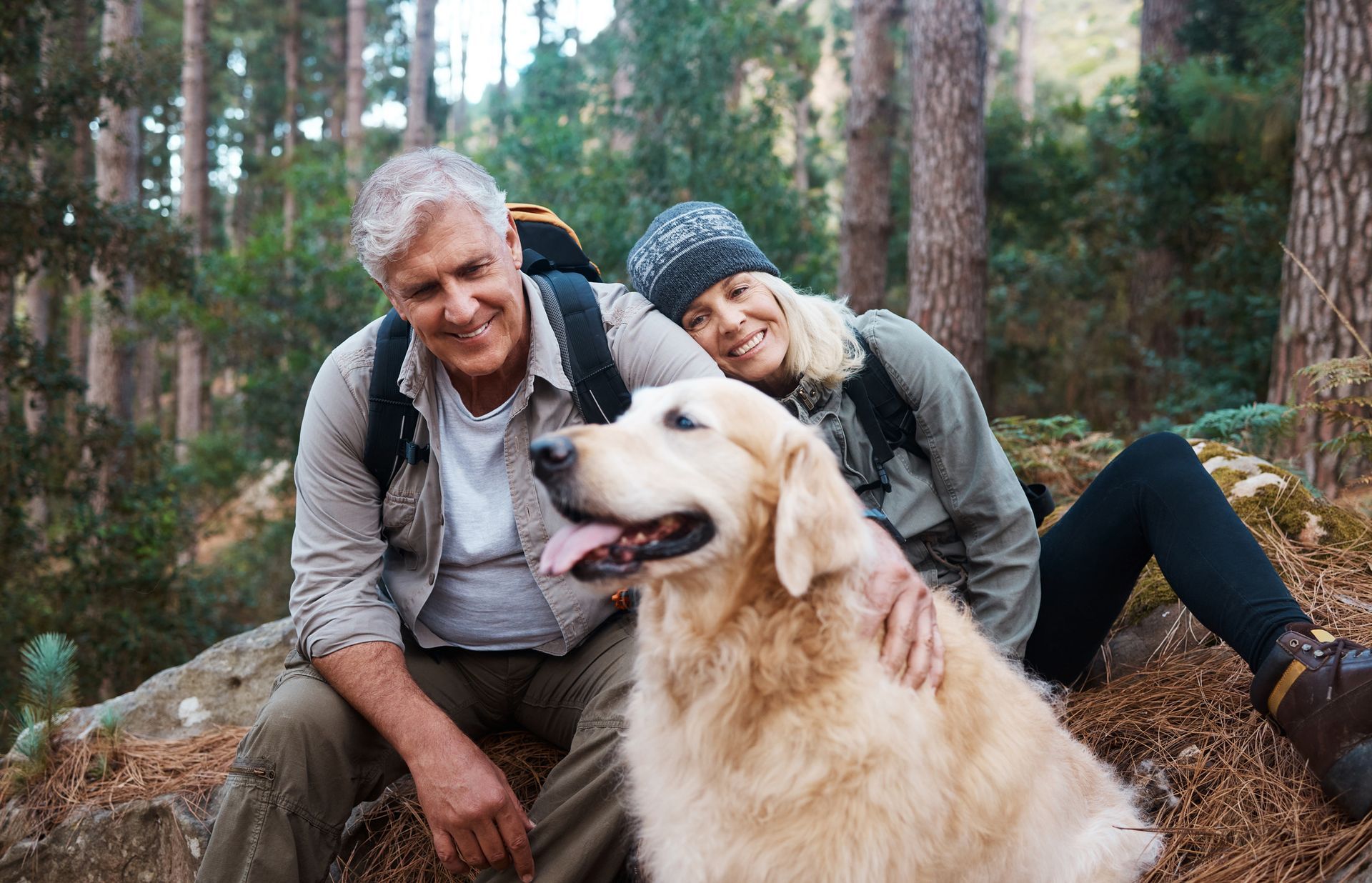 Link to Annuities