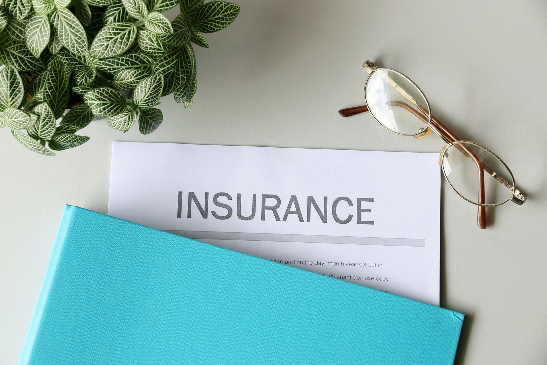 Insurance document on a desk next to glasses and a blue folder. Green plant in the background.