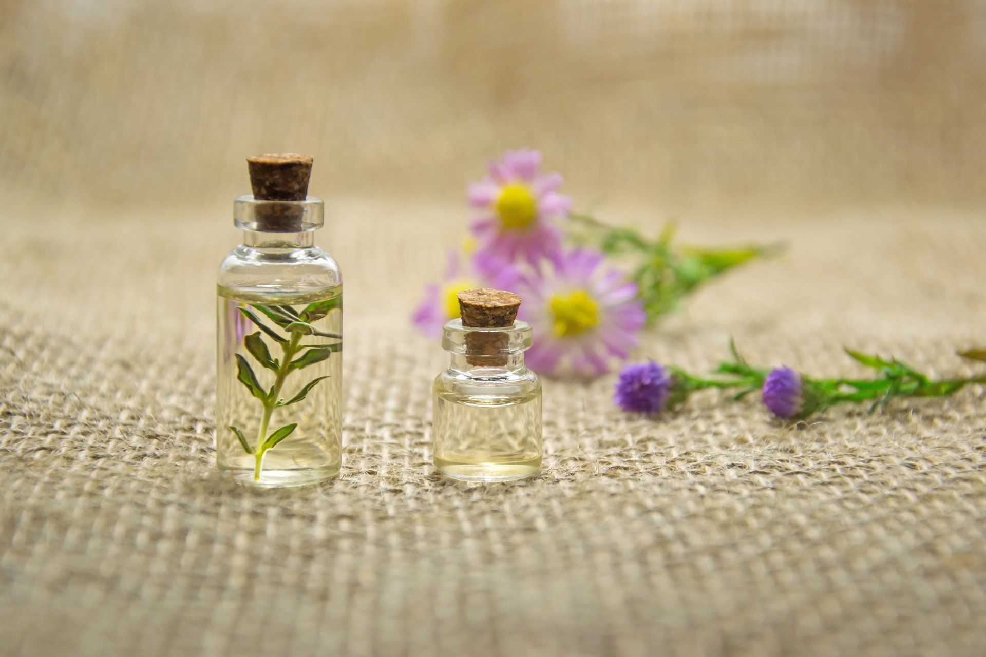 Ascend Body Oil 5.5 oz
