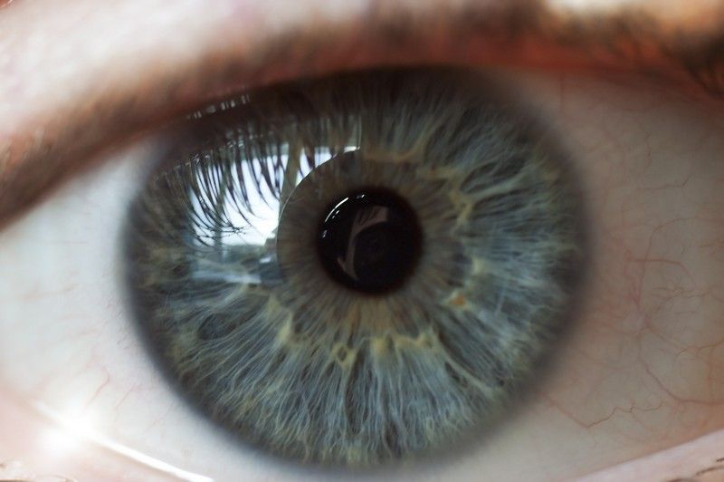 Two blue contact lenses on a wet reflective surface
