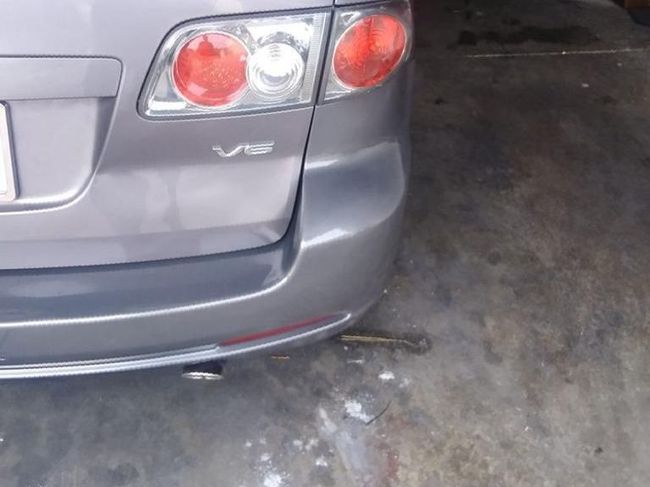 Rear of a gray sedan with a V6 badge parked on a concrete floor, showing minor damage near the bumper.