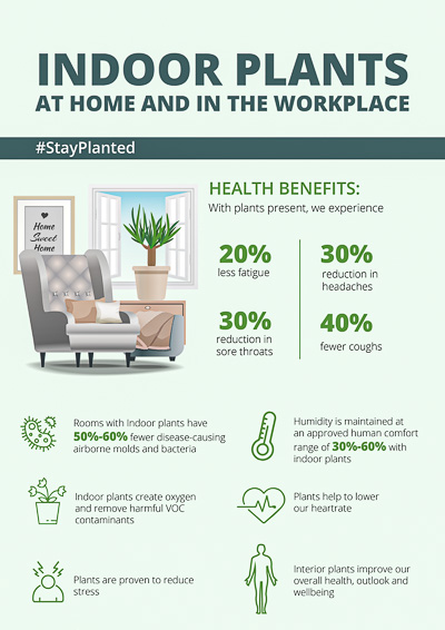 Plants A La Carte - Benefits of Plants