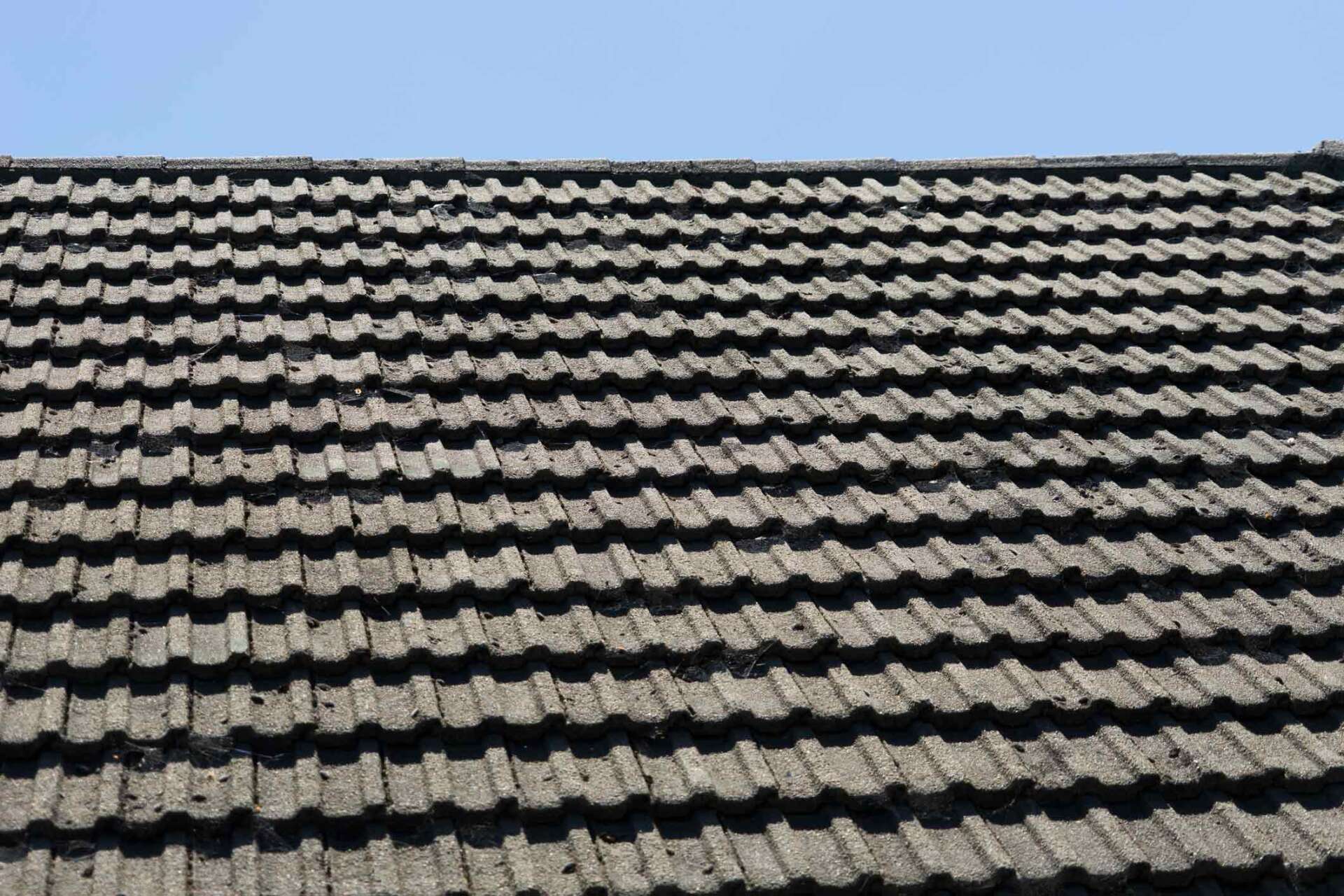 Concrete tile roof | Townsville, QLD | Roofshield Townsville