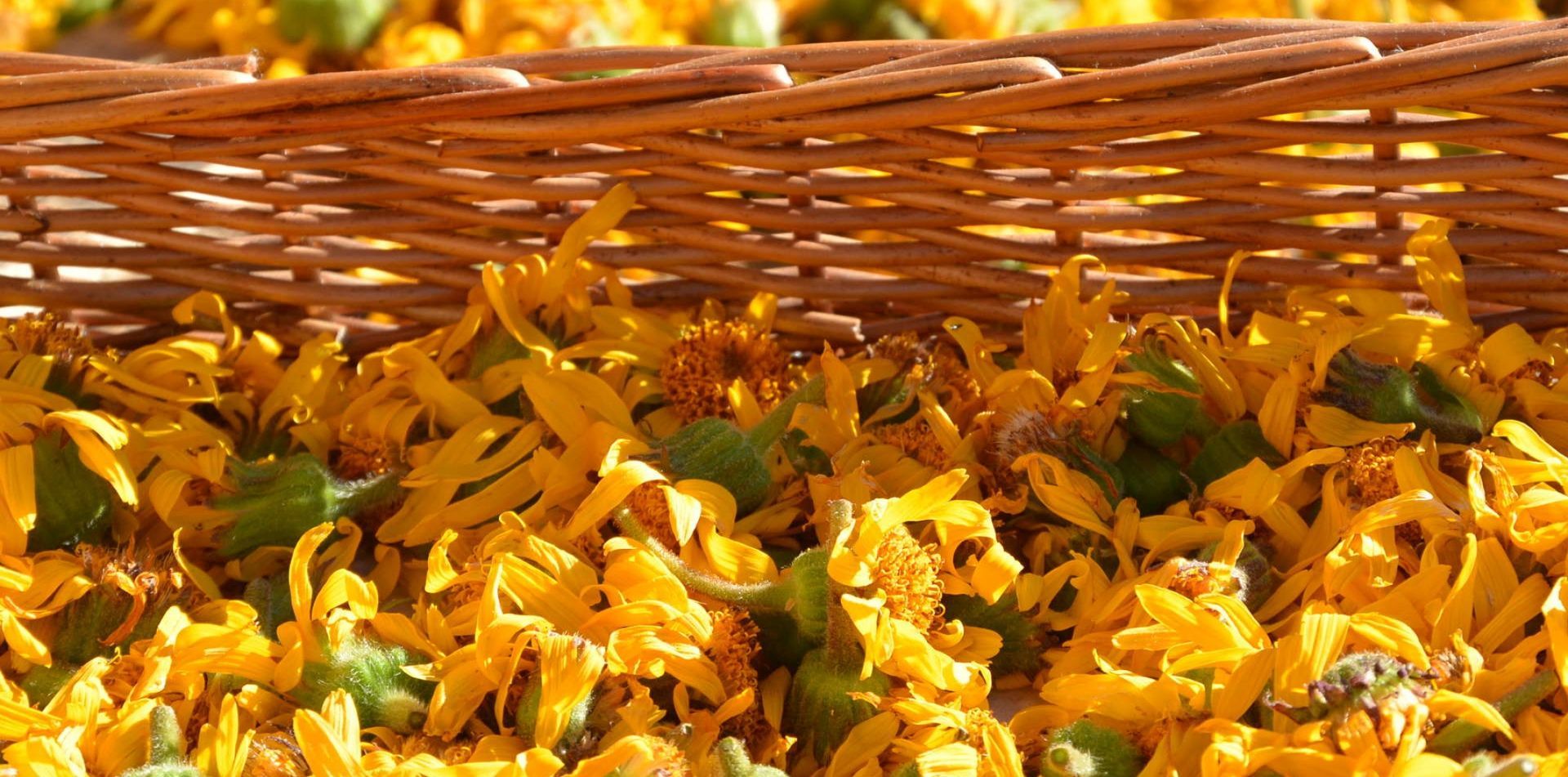 A wicker basket filled with yellow flowers and green leaves.