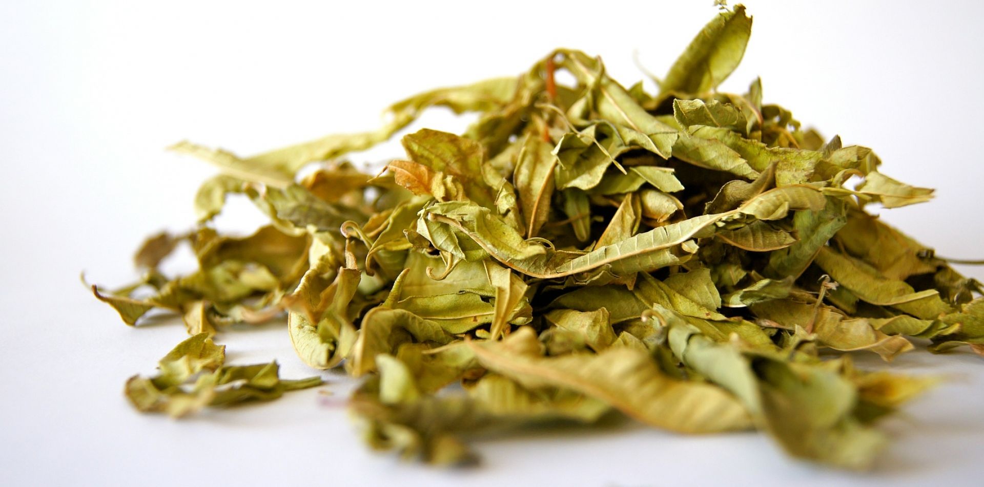 A pile of dried leaves on a white surface.