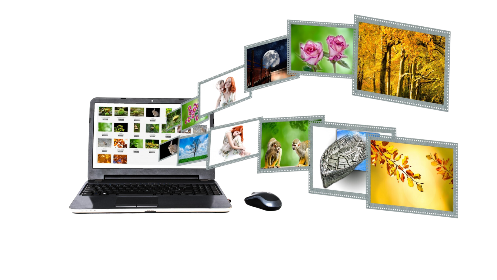 Website Design