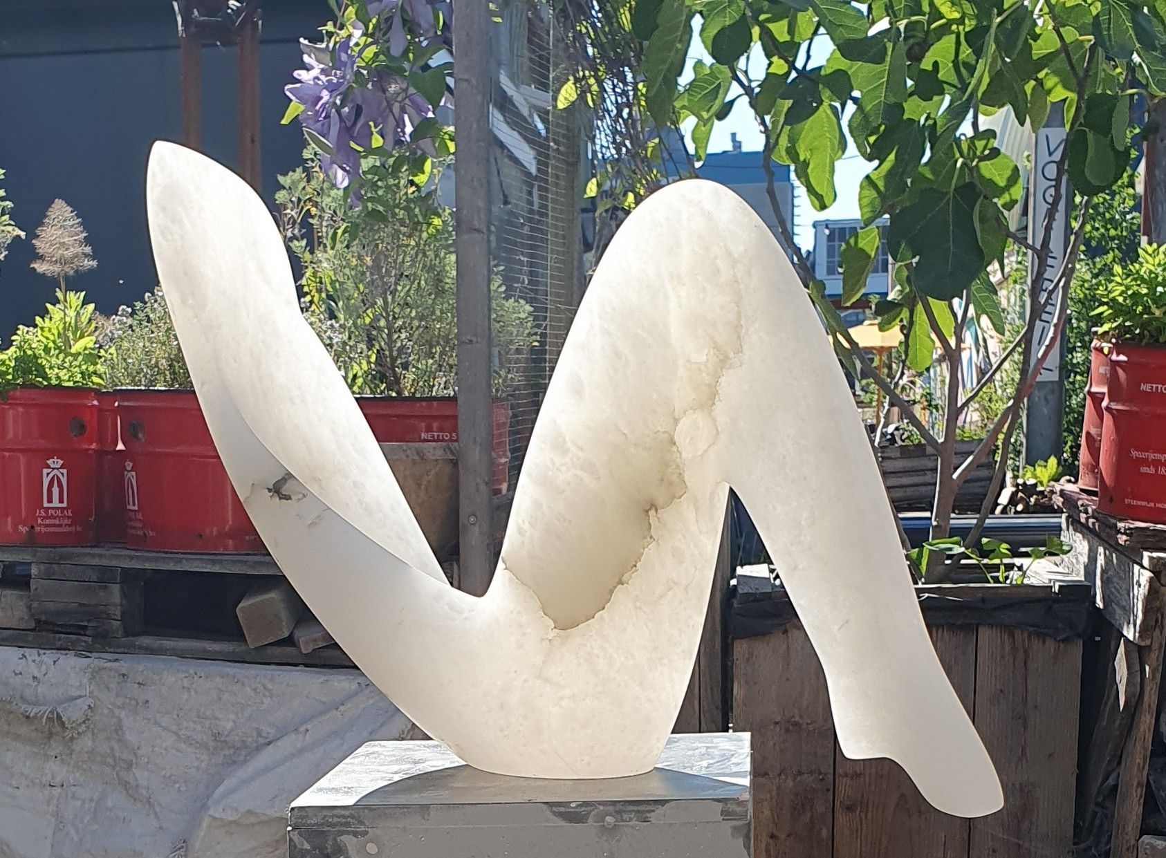 Reclining Figure