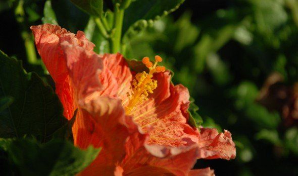 Landscape Gallery