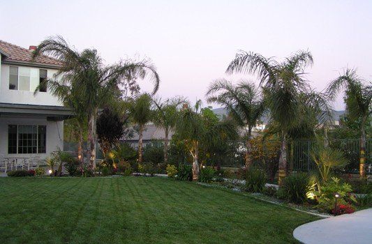 Landscape Gallery
